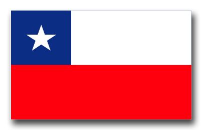 Chile Flag Vinyl Transfer Decal