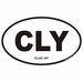 Clay New York Oval Decal