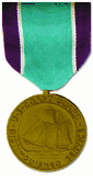 Coast Guard Distinguished Service Medal - Full Size