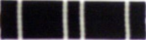Coast Guard Expert Rifle Ribbon