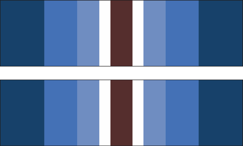 Coast Guard Restricted Duty Ribbon Decal