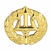 Command Ashore Badge