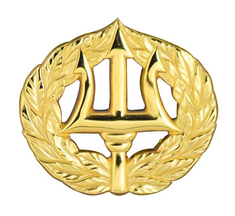 Command Ashore Badge