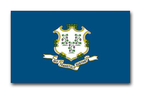 Connecticut State Flag Vinyl Transfer Decal