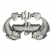 Deep Submergence Enlisted Regulation Size Badge