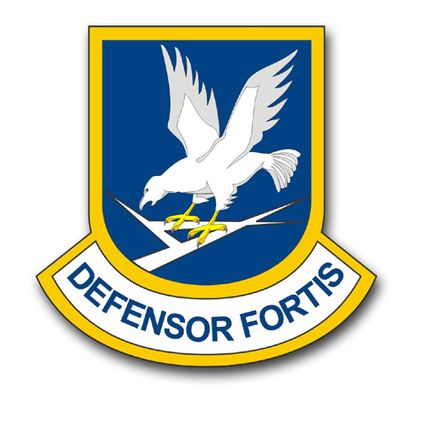 DEFENSOR FORTIS MILITARY VINYL TRANSFER DECAL