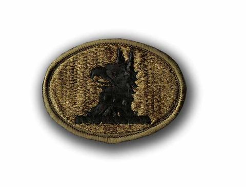 DELAWARE NATIONAL GUARD SUBDUED 2 1/8"h x 3"w  MILITARY PATCH
