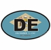 Delaware Oval Decal