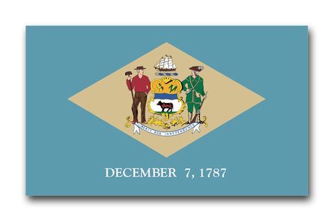 Delaware State Flag Vinyl Transfer Decal