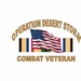 Desert Storm Sticker Combat Veteran Decal