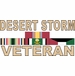 Desert Storm Veteran Decal