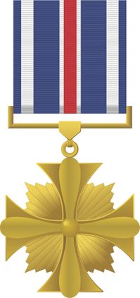 Distinguished Flying Cross Medal Decal