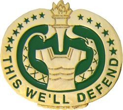 Drill Instructor Sergeant This We'll Defend Pin 1-1/4"