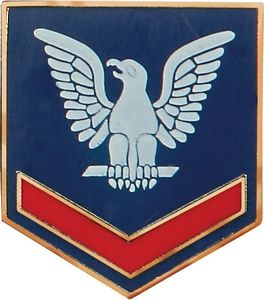 E-4/PO3 Lapel Pin