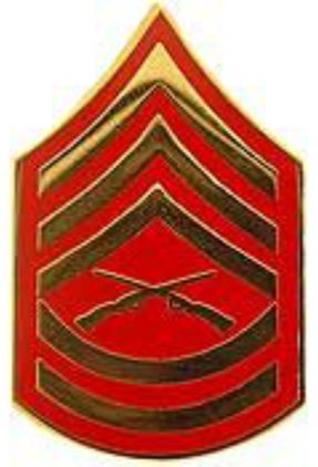 E-7/GYSGT Lapel Pin