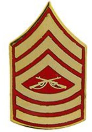 E-8/MSGT Lapel Pin