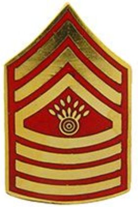 E-9/MGYSGT Lapel Pin