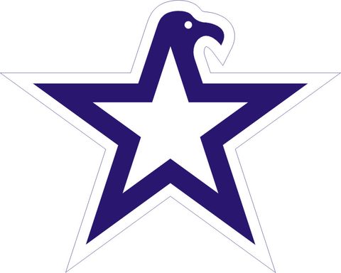 Eagle Star Patriotic Decal Sticker
