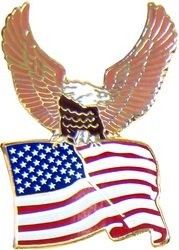 Eagle with Flag Lapel Pin