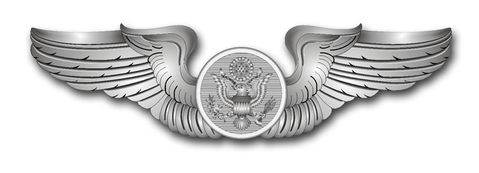 Enlisted Aircrew Member Vinyl Transfer Decal