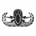 Explosive Ordnance Disposal Badge - Mirrored Finish