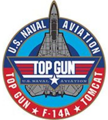 F-14 LAPEL PIN