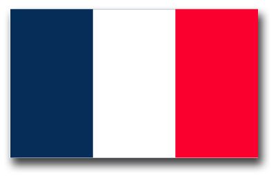 France Flag Vinyl Transfer Decal