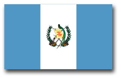 Guatemala Flag Vinyl Transfer Decal
