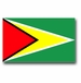 Guyana Flag Vinyl Transfer Decal