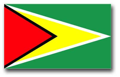 Guyana Flag Vinyl Transfer Decal