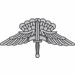 HALO Basic Parachutist Jump Wings Decal