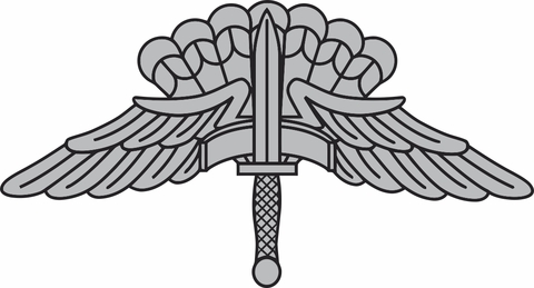 HALO Basic Parachutist Jump Wings Decal