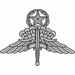 HALO Master Parachutist Jump Wings Decal