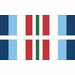 Homeland Security Distinguished Service Ribbon Decal