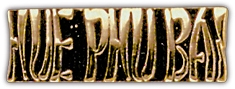 Hue Phu Bai Lapel Pin