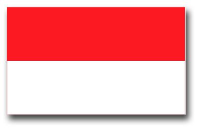 Indonesia Flag Vinyl Transfer Decal