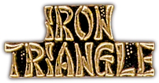 Iron Triangle Lapel Pin