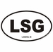 Lansing Michigan Oval Decal