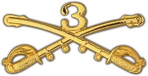Large 3rd Cavalry Lapel Pin