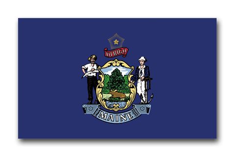 Maine State Flag Vinyl Transfer Decal