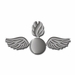 MARINE CORPS ORDNANCE WINGS MILITARY DECAL
