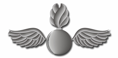 MARINE CORPS ORDNANCE WINGS MILITARY DECAL