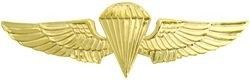 Marine Jump Wings 2 7/8" Pin - Gold