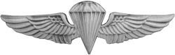 Marine Jump Wings 2 7/8" Pin - Silver