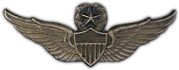 Master Army Aviator Wings 2 1/4" Lapel Pin