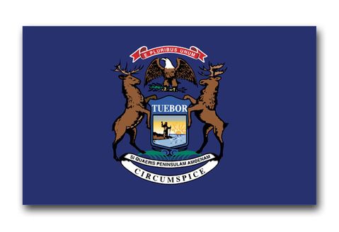 Michigan State Flag Vinyl Transfer Decal