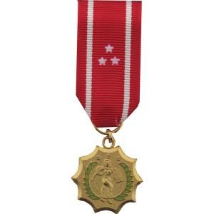 Military Philippine Defense Medal - Mini