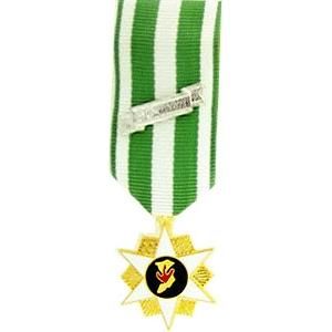 Military Vietnam Campaign Medal - Mini