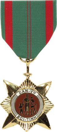 Military Vietnam Civil Action 1st Class Medal - Full Size