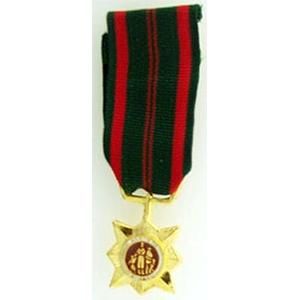Military Vietnam Civil Action 1st Class Medal - Mini